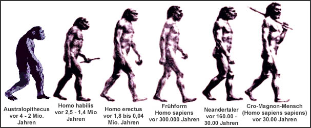 neuere geschichte freiburg