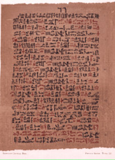 Als Hieroglyphen (Bild: auf einem ägyptischen Papyrus) bezeichnet man die Schriftzeichen der alten Ägypter.