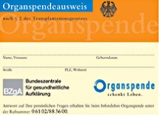Im Organspendeausweis kann jeder ab 16 Jahren eintragen, ob er Organe zum Spenden freigibt und wenn ja, welche.