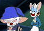 Pinky und Brain