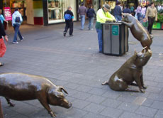 Nicht nur in der Messe trifft man auf Schweine, sondern auch in der Fußgängerzone von Adelaide. Allerdings sind sie dort aus Bronze.