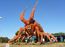 Hier posiere ich neben einem gigantischen Hummer, der neben der Great Ocean Road steht. Soll wohl Kunst sein...