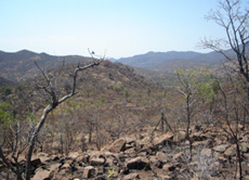 Afrika ist sehr vielseitig. Die Landschaften hier unterscheiden sich sehr von denen in Europa.