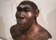 Der Frühmensch Homo erectus lebte von vor 1,8 Millionen bis vor 40 Tausend Jahren. Spätere Arten waren bereits Jäger und Sammler und nutzten das Feuer zum Kochen.