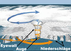 Schaubild zur Entstehung: Wasser verdunstet und steigt nach oben. Luftströme aus verschiedenen Richtungen treffen aufeinander, werden abgelenkt und ein spiralförmig drehender Trichter entsteht. Abgekühlte Wasserteilchen stürzen als Regen herunter.