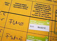 Eine Impfung kann nur vor FSME schützen. Weitaus mehr Zecken sind aber mit Borreliose infiziert. Der beste Schutz ist lange Kleidung und ein Zeckenmittel. Nach Spaziergängen sollte der Körper abgesucht werden.