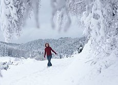 Gehören schneereiche Wintertage bereits der Vergangenheit an?