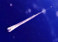 Sternschnuppen sind kleine Meteoroiden, die in der Erdatmosphäre verglühen.