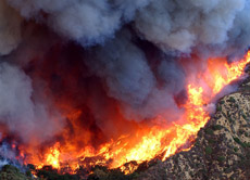 Wenig Regen und extreme Hitze führten dazu, dass sich die russischen Steppen und Wälder schon bei kleinsten Funken schnell zu riesigen Feuerbrünsten ausbreiteten.