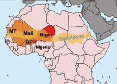 Menschen im Niger (rot), in Burkina Faso (BF), Mali und Mauretanien (MT) sind von der Hungersnot betroffen.