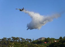 Mit Löschflugzeugen wird versucht, den vielen Bränden im Land einhalt zu gebieten.
