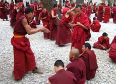Tausende buddhistische Mönche zogen in Myanmar auf die Straßen, um friedlich für die Freiheit ihres Landes zu kämpfen.