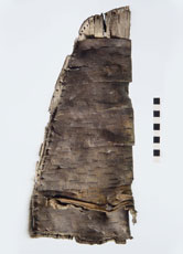 Dieses "Stück Birkenrinde" entpuppte sich als archäologische Sensation.