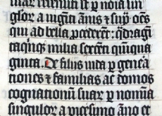 Eine Bibelschrift aus dem 15. Jahrhundert in lateinischer Sprache.