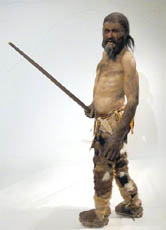 "Ötzi" trägt das beste erhaltende Beispiel für die Steinzeit-Kleidung. Bild: Rekonstruktion des "Ötzi" im Südtiroler Archäologiemuseum