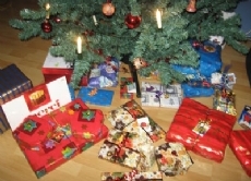 Viele Weihnachtsbräuche sind nicht gerade umweltfreundlich. Weihnachtstannen, die einige Jahrzehnte alt werden können, werden innerhalb von wenigen Jahren hochgezüchtet, um dann gefällt zu werden und bald auf dem Müll zu landen.