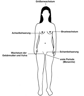 Nackt mädchen in pubertät Pubertät bei