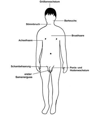 Mit jungen pubertät 11 Schamhaare bei