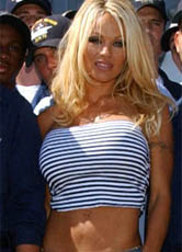 Pamela Andersons Markenzeichen: Blonde Haare, gebräunte Haut und eine üppige Oberweite.