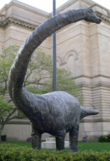 Wie konnte der Diplodocus seinen Hals bewegen ohne umzukippen? Bei dem Bau von Kränen ließen sich die Forscher von der Knochenanordnung des Sauriers inspirieren.