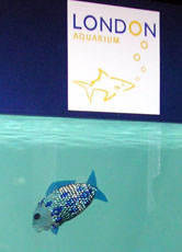 Vielleicht werden bald auch in anderen Aquarien und Zoos Roboter-Fische als neue Attraktionen zu bewundern sein