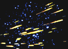 Einen solchen Sternschnuppenregen kann man jährlich im August beobachten. Das Bild zeigt einen Meteorstrom aus dem Jahre 1995.