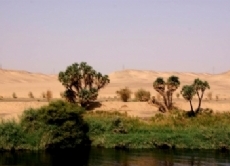 Immer wieder kommt es zu Wasserkonflikten, zum Beispiel zwischen den am Nil liegenden Staaten: So verfügen Ägypten und Sudan über fast 90 Prozent des genutzten Flußwassers, während Äthiopien, das am unteren Teil des Nils liegt, nur ein Bruchteil des genutzten Wassers zugestanden wird.