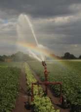 Ein Großteil des nutzbaren Süßwassers wird in der Landwirtschaft für die Bewässerung der Felder und Äcker verwendet, auf denen Pflanzen für unsere Nahrung oder zur Fütterung von