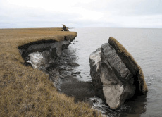 Die Küste Alaskas wird durch Erosion zunehmend abgetragen. Das Auftauen des Permafrosts und der Rückgang des schützenden Meereises beschleunigen diesen Prozess.
