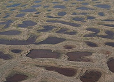 Auftauender Permafrost: Wenn das im Boden gespeicherte Eis schmilzt, kann der Untergrund absacken und es entstehen neue Seen, Senken und Feuchtgebiete.