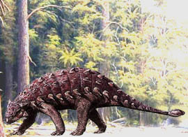 Der Körper des Ankylosaurus war gepanzert und mit vielen Stacheln bedeckt.