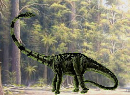 Wie konnte der Diplodocus seinen Hals bewegen ohne umzukippen? Bei dem Bau von Kränen ließen sich die Forscher von der Knochenanordnung des Sauriers inspirieren.