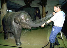 Zoos und Tierparks