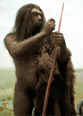 Das Hormonsystem des heutigen Menschen ist dem der Urzeitmenschen noch sehr ähnlich. Die kulturelle Evolution ist in einem viel rascheren Tempo vorangeschritten.
