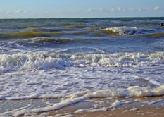 Bereits ein Sechstel der Fläche ist tot. Es muss dringend etwas getan werden, um die Ostsee zu retten.