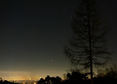Den vollen Sternenhimmel sieht man am besten auf dem Lande. In einer hell erleuchteten Stadt wie Wien (Bild) ist es oft schwer, Sternschnuppen zu beobachten.