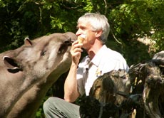 Der Tierpfleger im Zoo Hannover schleckt ein leckeres Eis - bis es ihm die Tapire wegschnappen.