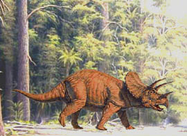 Triceratops hatte drei Hörner auf dem Kopf und war mit einem Panzer ausgestattet.
