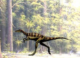 Nicht der größte, aber einer der schnellsten Räuber: der Saurier Velociraptor.