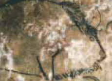 Steinzeitmenschen zeichneten dieses Wisent vor 13.000 Jahren auf den Boden der Höhle von Niaux (Frankreich).