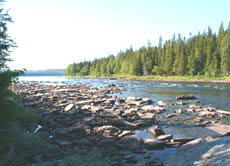 Der Fluss Umeälven in Nordschweden