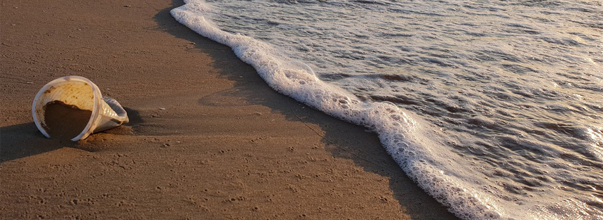 Abfall in den Meeren und Ozeanen stellt längst nicht nur ein Problem für Badeurlauber dar, sondern bedroht massiv die Gesundheit der Meere, ihrer Lebewesen und die Umwelt. Pro Jahr sterben unzählige Seevögel, Meeressäugetiere und Schildkröten an den Überresten von Plastikmüll.