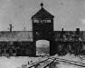 Gedenken an die Befreiung von Auschwitz