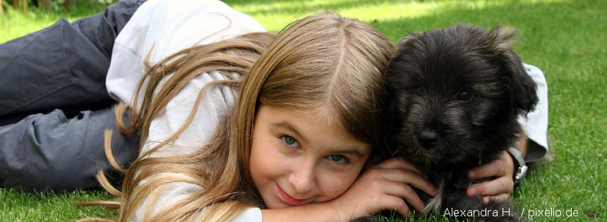 Ein eigenes Haustier - das ist der sehnlichste Wunsch vieler Kinder. Welche sind die beliebtesten Haustiere und was muss man beachten, wenn man ein Haustier halten will?