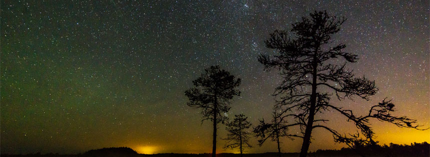 Im August regnet es am Nachthimmel hunderte Sternschnuppen. Der Meteorstrom wird auch Perseiden genannt. Was genau sind die Perseiden?